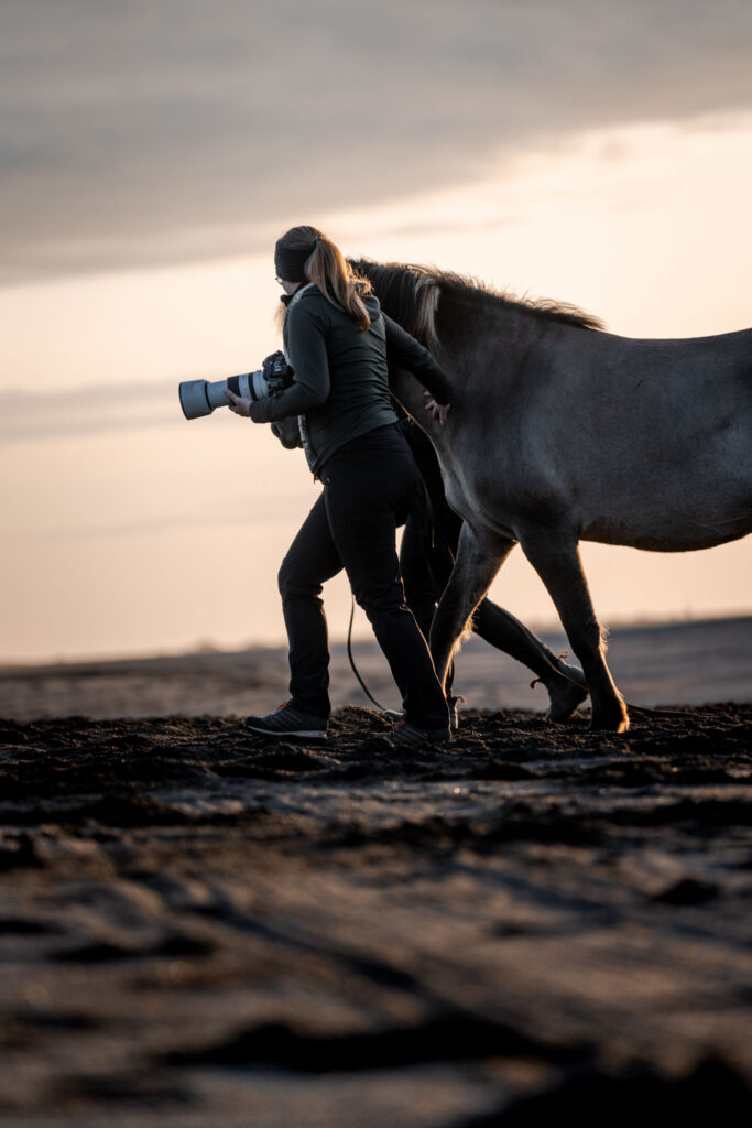 Coralie Duda Fotografie bei Pferdefotoshooting im Sonnenuntergang am schwarzen Strand in Island