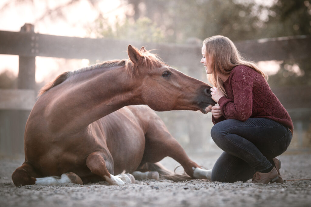 Coralie Duda Fotografie mit liegendem Pony