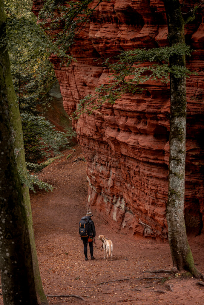 Coralie Duda Fotografie mit Hund an den Altschlossfelsen im Pfälzer Wald