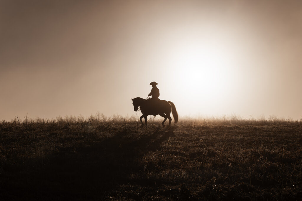 Westernreiter bei Fotoshooting im Sonnenaufgang mit Coralie Duda Fotografie im Wetteraukreis