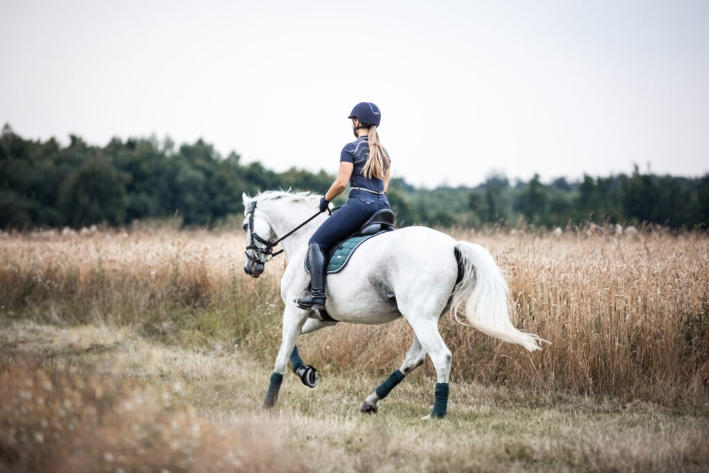 Frau galoppiert auf Pferd bei Fotoshooting im Sommer mit Coralie Duda Fotografie im Main-Kinzig-Kreis