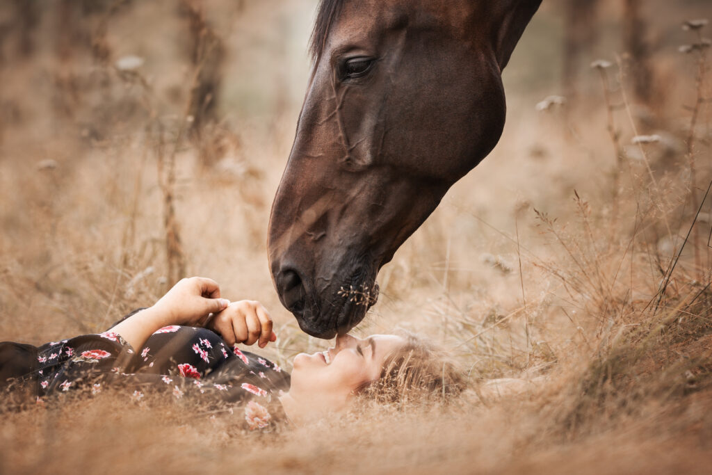 Pferd küsst Nase einer liegenden Frau bei Fotoshooting in Blumenwiese mit Coralie Duda Fotografie im Wetteraukreis