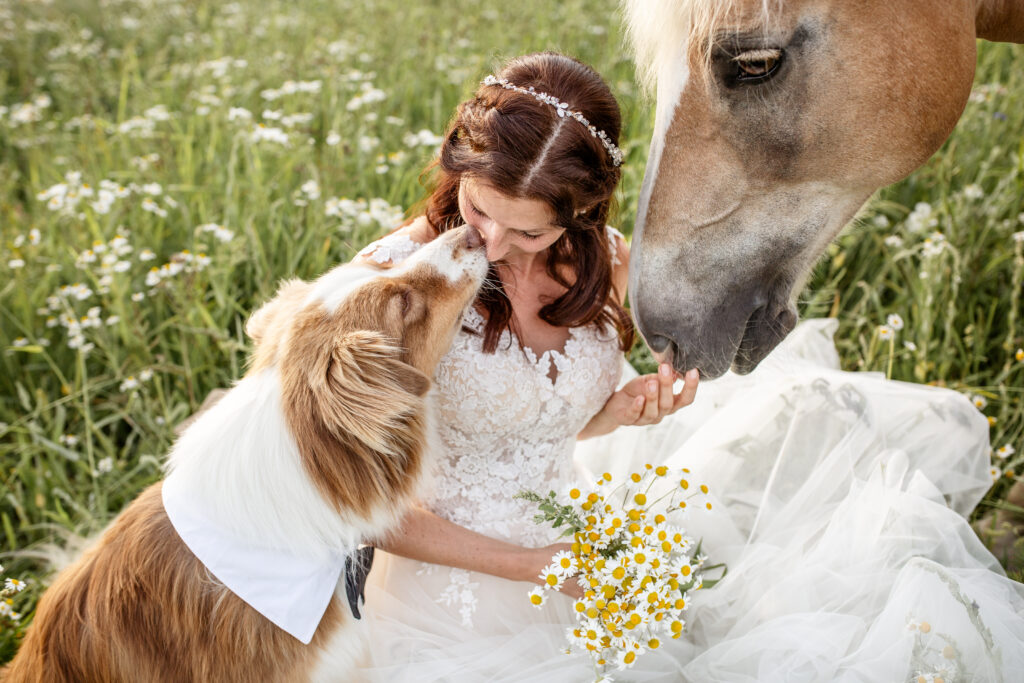 Frau mit Hund und Pferd bei After-Wedding-Fotoshooting im Sommer mit Coralie Duda Fotografie im Wetteraukreis