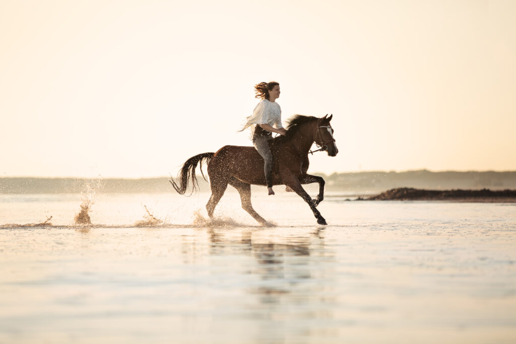 Frau reitet auf Pferd im Galopp bei Fotoshooting am Strand mit Coralie Duda Fotografie in Renesse