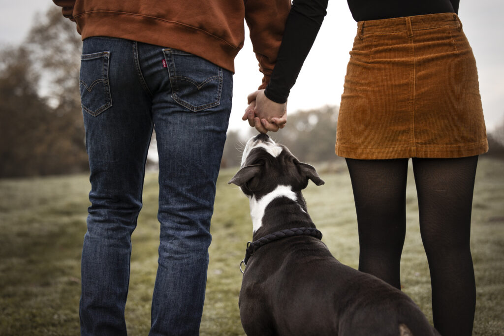 Mann und Frau mit Hund bei Fotoshooting im Herbst mit Coralie Duda Fotografie in Büdingen