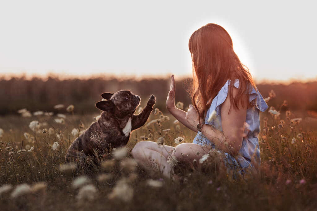 Hund gibt Frau High Five bei Fotoshooting im Frühling mit Coralie Duda Fotografie im Wetteraukreis