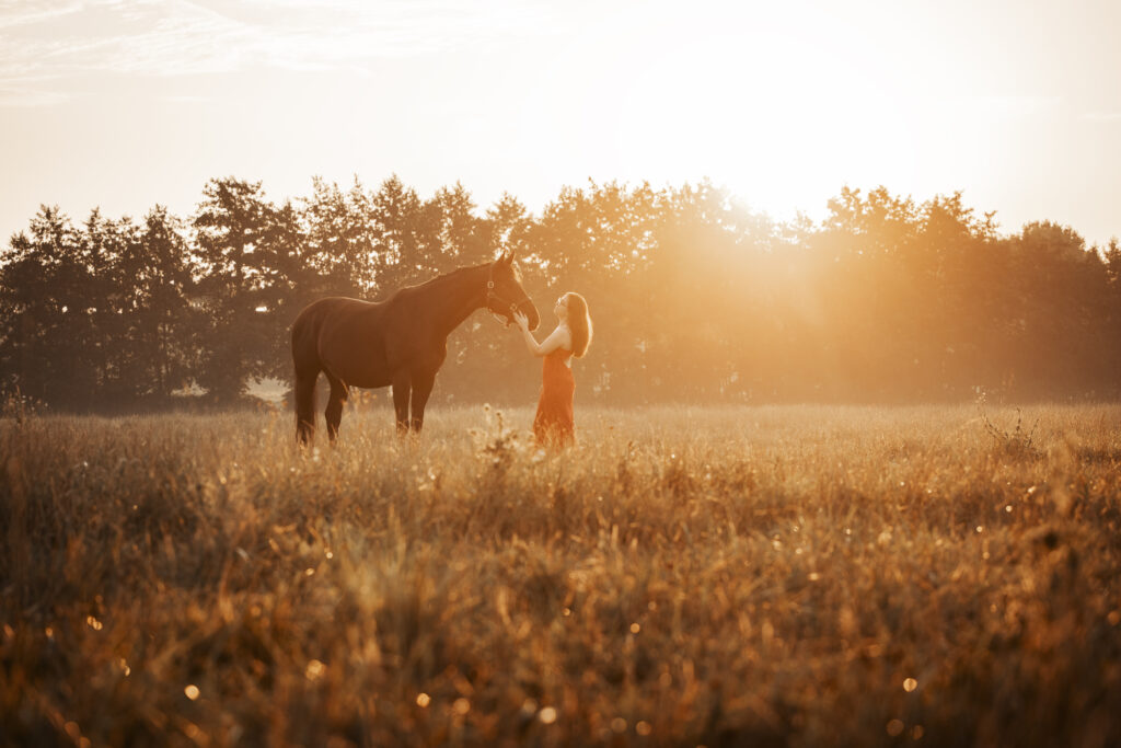 Frau mit Warmblut bei Pferdefotoshooting im Sommer mit Coralie Duda Fotografie