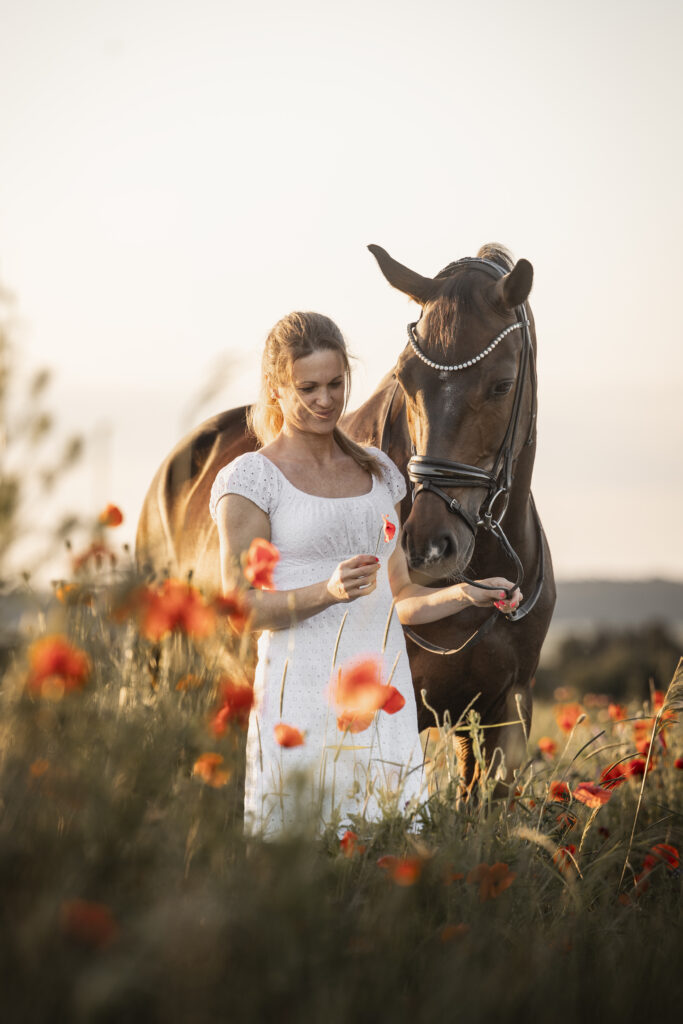 Frau mit Warmblut bei Pferdefotoshooting in Mohnblumen mit Coralie Duda Fotografie im Main-Kinzig-Kreis